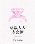 总裁大人太宠妻