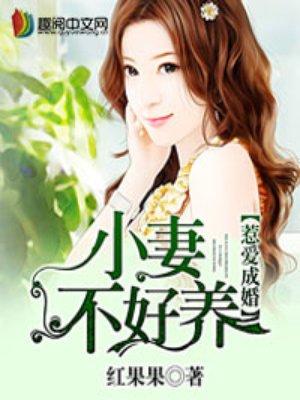 小妻难养免费阅读全文