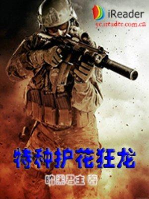 特种护花高手txt