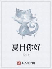 夏目说的经典语录