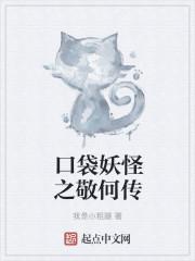口袋妖怪之我是