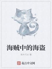海贼中的海盗是什么