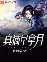 摘星偷月是什么意思