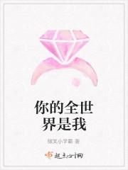 你是我的全世界上一句
