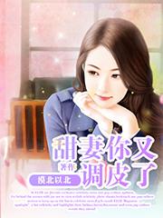 甜妻有点撩在线阅读