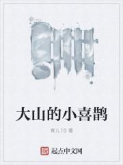 小喜鹊的歌曲儿童