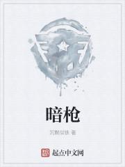 暗枪TXT