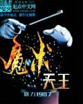 魔术师王天龙视频