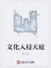 文化入侵坏处
