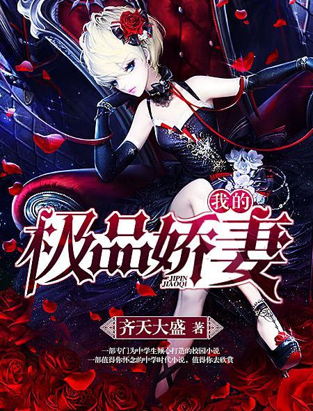 我的极品老婆讲的什么