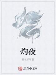 灼夜无痕
