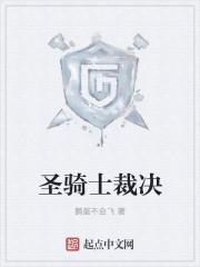 圣骑士审判套装